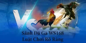 Bật Mí Cách Chơi Đá Gà WS168 Tại 789Win Luôn Thắng
