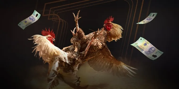 Đá Gà 789Win Trực Tiếp Sống Động Bí Kíp Thắng Lớn Mỗi Ngày